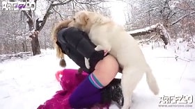 Зоопорно русское собаки с замерзшей теткой в сугробе