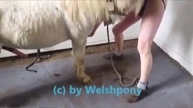 Конь унижает чувака в попу, свирепое зоо секс видео